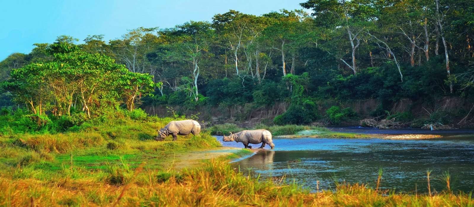 Kathmandu Pokhara Chitwan Tour